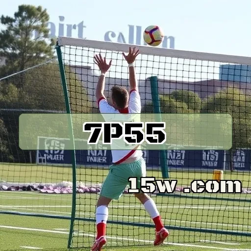 7p55 plataforma: Descubra o Que Faz Essa Plataforma Brilhar